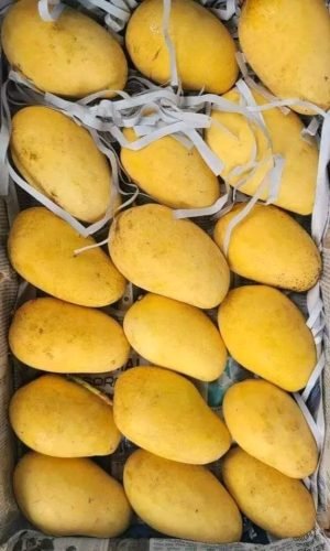 WhatsApp-Image-2025-12-23-at-10.41.50-AM-rgkl1z4eiyoo9emd53izjf8k1tdu47ju4fcgngb4aw