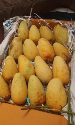 WhatsApp-Image-2025-12-23-at-10.41.51-AM-1-rgkl2102wmr8wmjmu4c8oerh8l4kjlrasonfm08byg